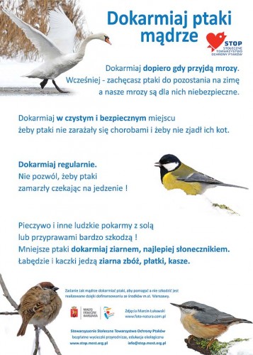 dokarmianie_plakat_duzy-357x500.jpg